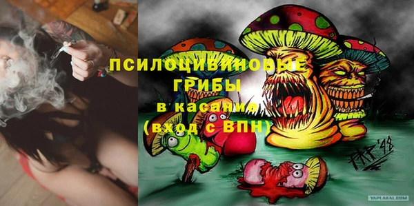 таблы Верея