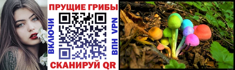 Псилоцибиновые грибы Psilocybine cubensis  Абакан 